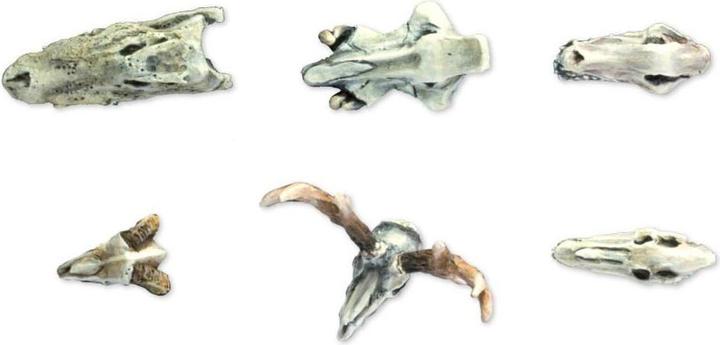 Actual product image Tabletop-Art Accessories Animals Skulls Set 6 pieces (Plastic)