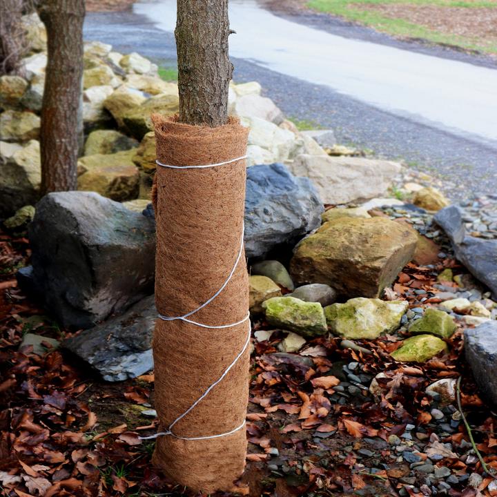 Produktbild Aquagart 50m Kokosmatte Winterschutz Böschungsmatte Kokosfasermatte 800g/m² 0,25m breit