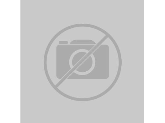 Produktbild Renkforce Ersatzteil 3D Drucker Düse Passend für: Basic 3, RF100 XL V3 RF-4538648 (Düse)