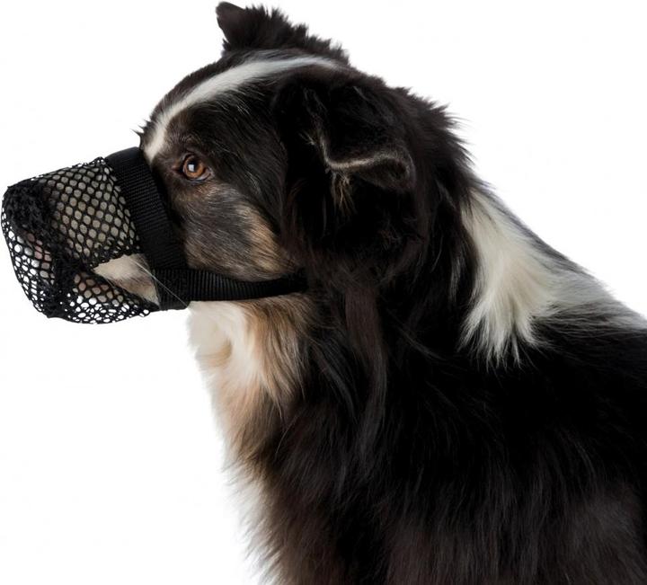 Actual product image Trixie Poison bait protection net, polyester (XL, Dog, General)
