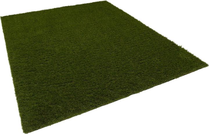 Actual product image Snapstyle Artificial turf Outdoor (200 x 250 cm)