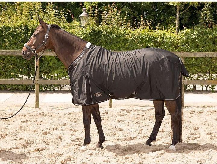 Actual product image Harry's Horse Highliner (165 cm)