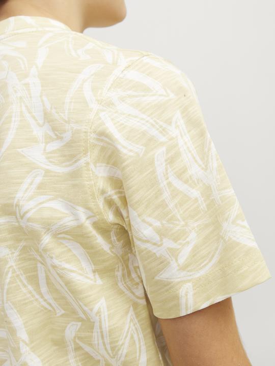 Image du produit Jack & Jones Jorlafayette Aop Tee Ss Crew Neck Jnr (176)