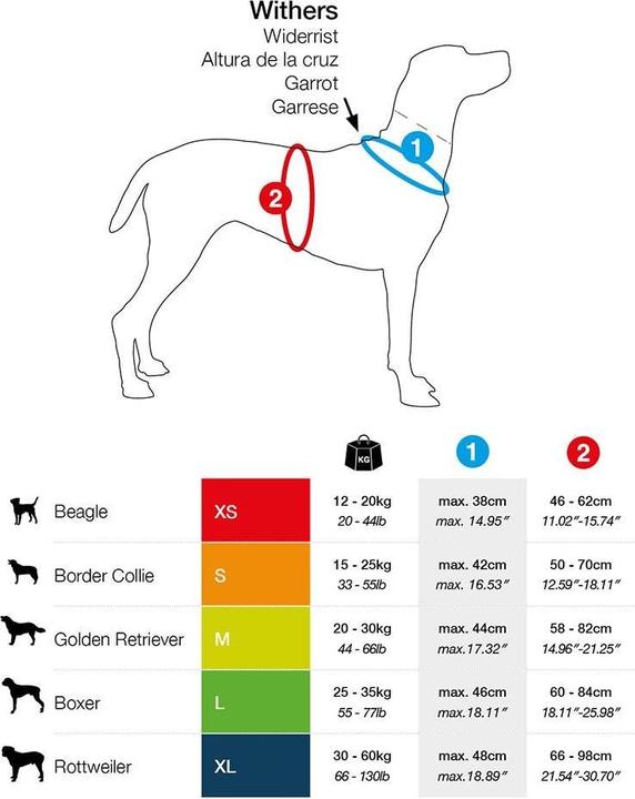 Produktbild Curli Geschirr Magnetic Belka Comfort (XL, Hund, Allgemein, Spazieren)