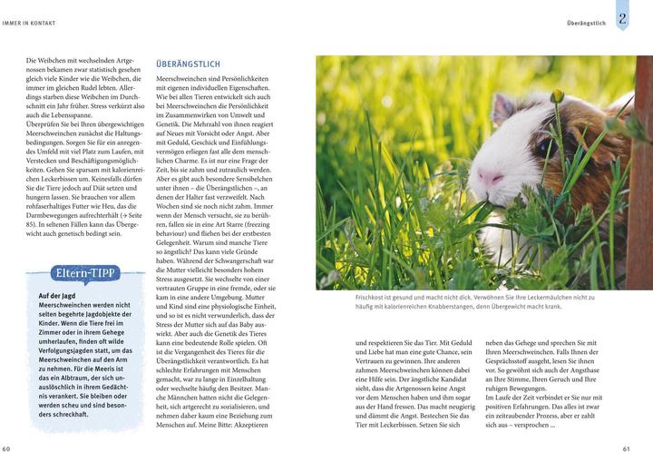 Produktbild Neugierige Meerschweinchen - So fühlen sie sich wohl (Deutsch, Immanuel Birmelin, 2015)