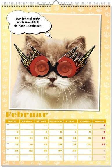 Actual product image Cool cats poster calendar 2025 (No binding, German)