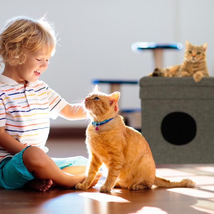 Immagine prodotto Relaxdays Casetta per-gatti (Gatto)