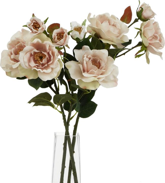 Immagine prodotto Hill Interiors The Natural Garden Collection Rosa Tea Fiore Artificiale (60 cm)