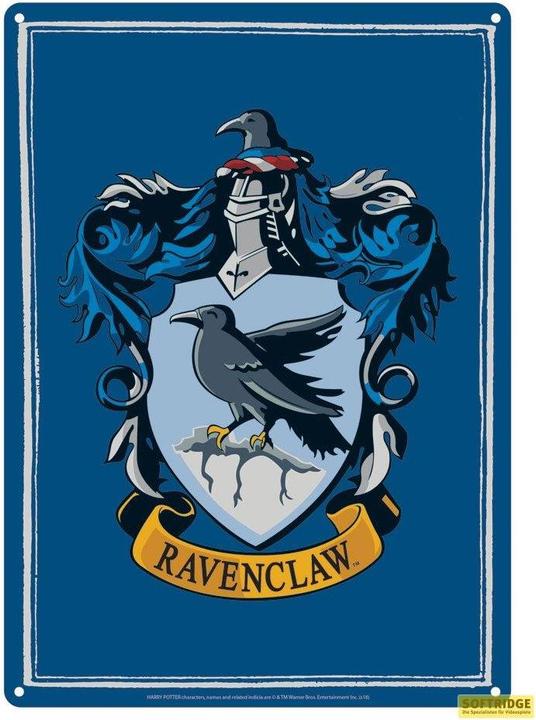 Immagine prodotto Harry Potter: Ravenclaw (21 x 15 cm)