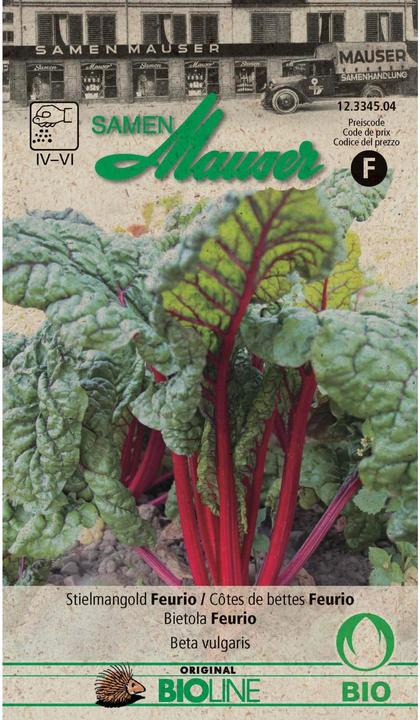 Actual product image Samen Mauser Swiss chard Feurio (Vegetable seeds)