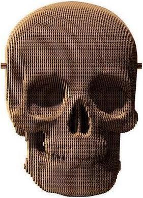 Actual product image Cartonic Skull - 3D cardboard model