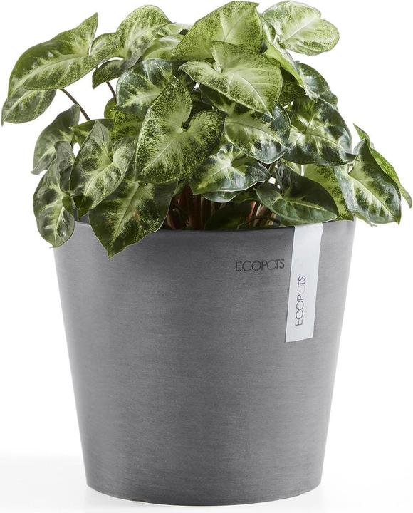 Produktbild Ecopots Amsterdam (50 cm)