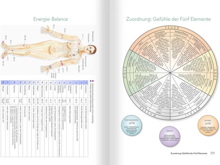 Produktbild Medizin zum Aufmalen: Heilen mit Zeichen und Symbolen. Das Basisbuch Neue Homöopathie (Deutsch, Roswitha Stark, 2025)