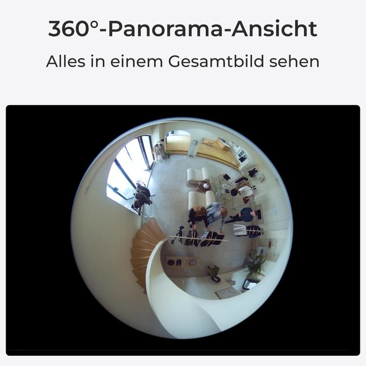 Immagine prodotto Reolink Serie Fisheye W520 WiFi (2560 x 2560 pixel)