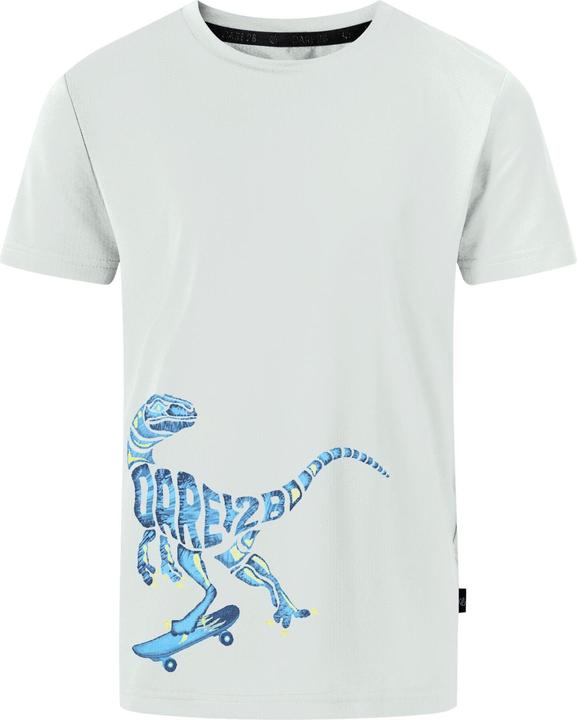 Actual product image Dare2b Boys Amuse II Velociraptor T-Shirt (164)