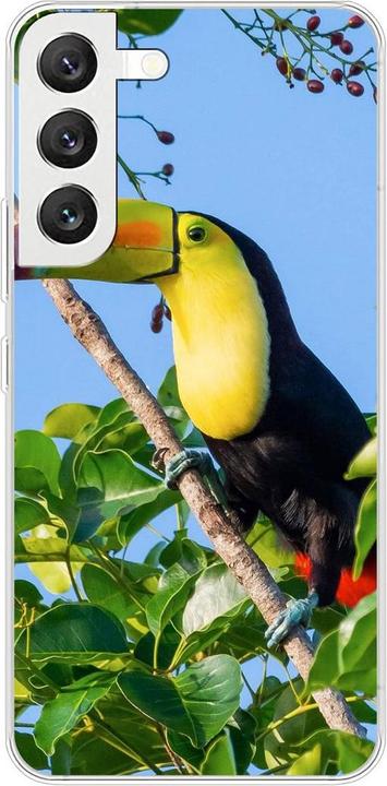 Tucan
