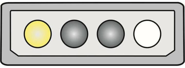 Image du produit Delock Câble d'alimentation électrique P4