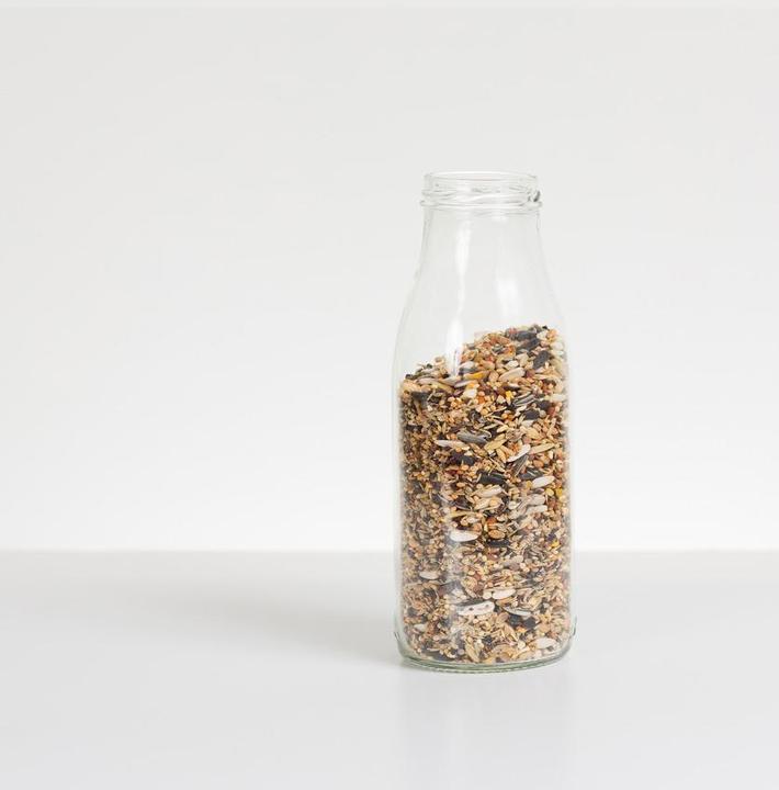 Actual product image SingingFriend Bird Feeder Tara