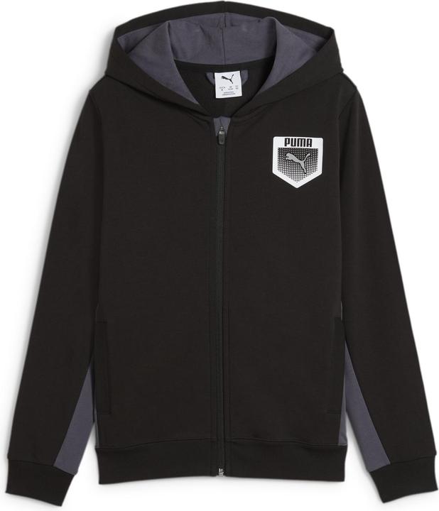 Actual product image Puma ACTIVE SPORTS Graphic Hoodie Full-Zip TR B (164)