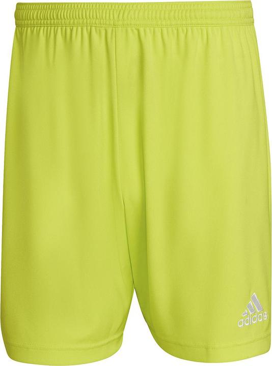 Actual product image adidas Entrada 22 Football Shorts Men (L)