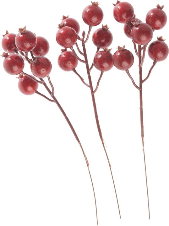 Immagine prodotto DPI Grappolo di rosa canina, rosso