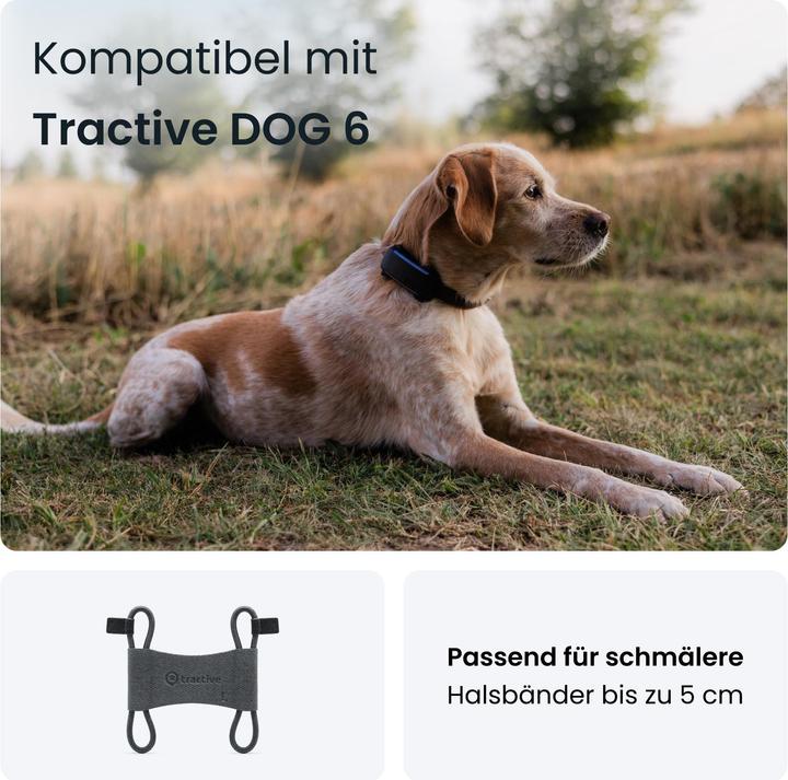 Produktbild Tractive GPS Dog 6 - Fabric Clips (S, Hund, Hundesport)