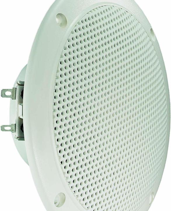 Immagine prodotto Visaton Altoparlante a gamma completa FR 13 WP