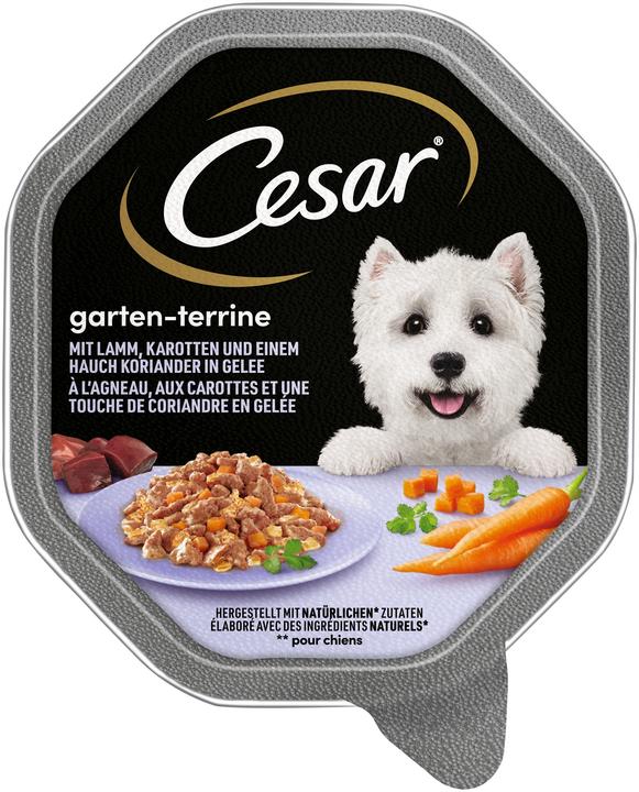Produktbild Cesar Terrine Lamm/Karotten (Adult, 1 Stk., 150 g)