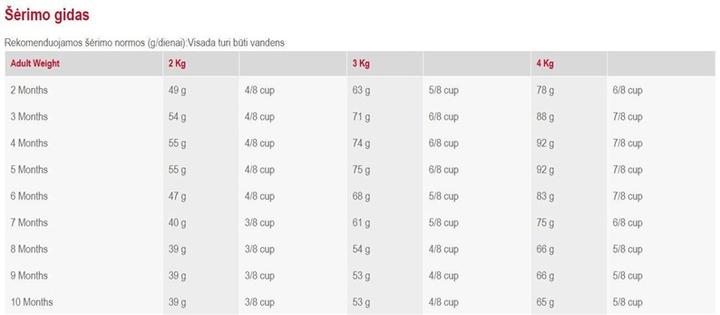 Image du produit Royal Canin Yorkshire Terrier Junior (Junior, 1 pcs, 500 g)