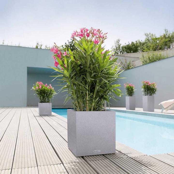Produktbild Lechuza Canto (30 cm)