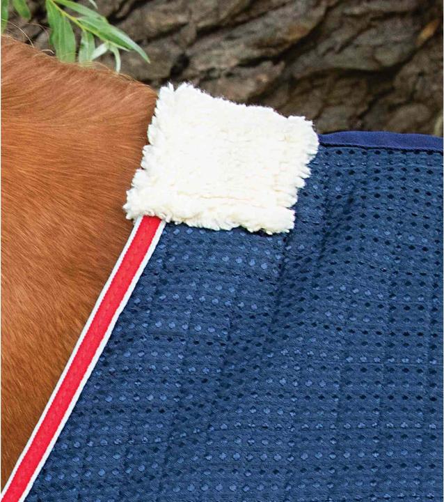 Immagine prodotto Premier Equine Walker 0 g (183 cm)