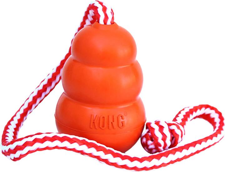 KONG Aqua (Apportieren)