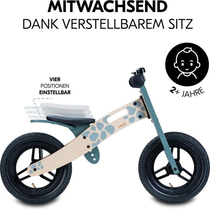 Immagine prodotto Hauck Balance N Ride Turtle (12")