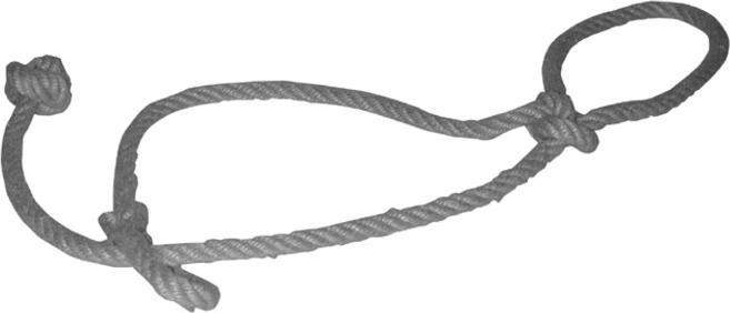 Immagine prodotto Meister Anelli del collo Polycord Ø10mmx160c (1.60 m)