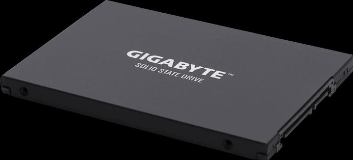 Image du produit Gigabyte GP-GSTFS30256GTTD (256 Go, 2.5")