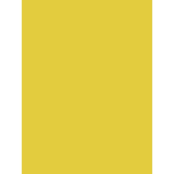 BAC419