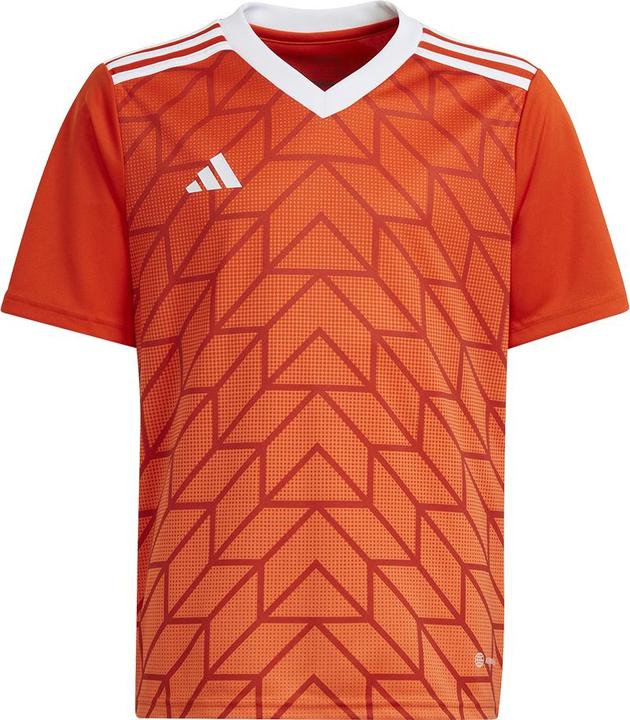 Produktbild adidas Team Icon 23 Trikot (152)