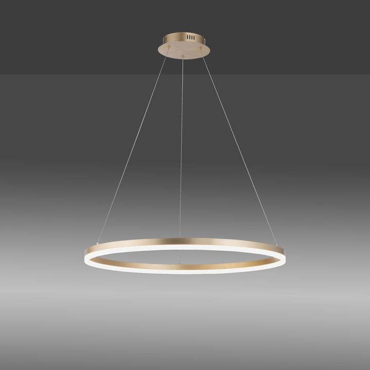 Image du produit Paul Neuhaus Titus (6600 lm)