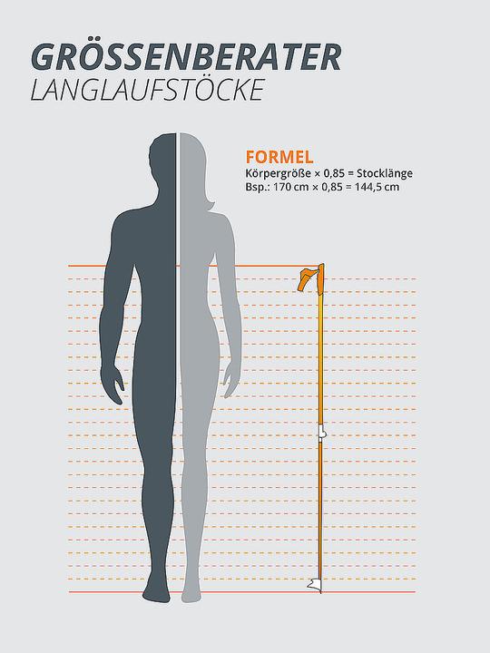 Produktbild Leki Langlauf-Skistöcke XTA 5.5 (150 cm)