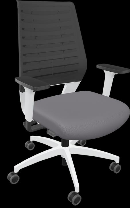 Image du produit Dauphin X-Code - Chaise de bureau