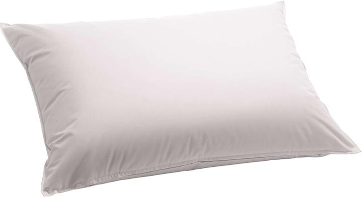 Image du produit Billerbeck Casa Nature (65 x 65 cm)