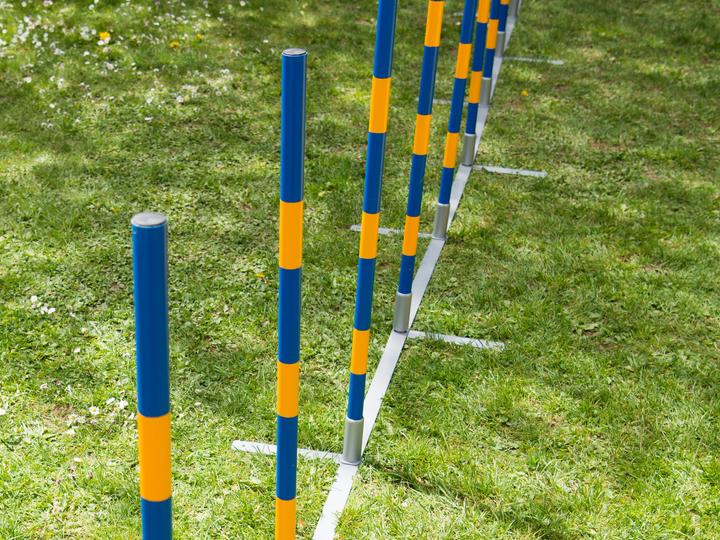 Actual product image Petcenter Professional agility slalom (One size, Agility)