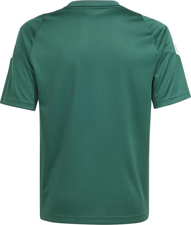 Actual product image adidas TIRO24 JSY Y (176)