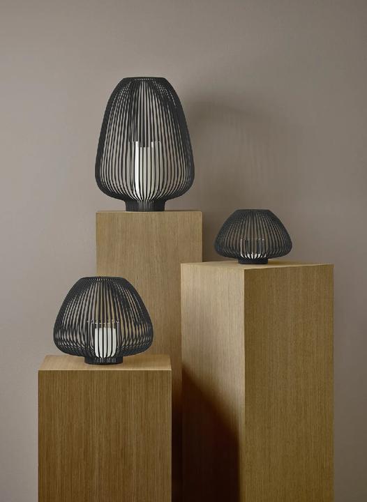 Actual product image Blomus LYVA Laterne black M 26,5cm (1 x)