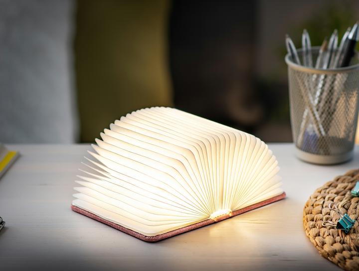 Image du produit Gingko Mini Smart Book Light