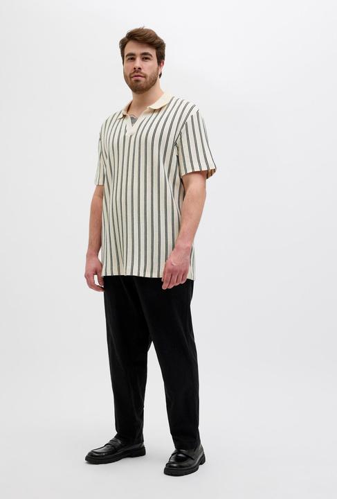 Immagine prodotto Jack & Jones Plus Size Poloshirt Poloshirt (4XL)