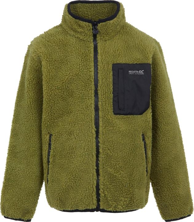 Actual product image Regatta Childrens/Kids Frankie Full Zip Fleece Jacket (158)