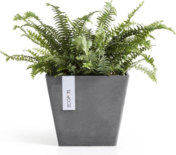 Actual product image Ecopots Rotterdam (30 cm)