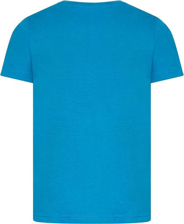 Image du produit Awdis Cascades TShirt Coton issu de l'agriculture biologique (158)