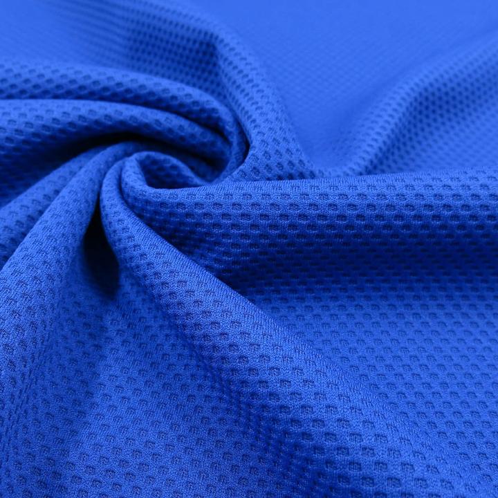 Bleu roi